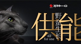 高端寵物品牌All For One萬物一口，成功上線巨益全渠道電商OMS